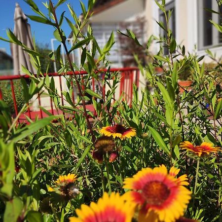 Villechétif Campagn'Arts Bed & Breakfast エクステリア 写真