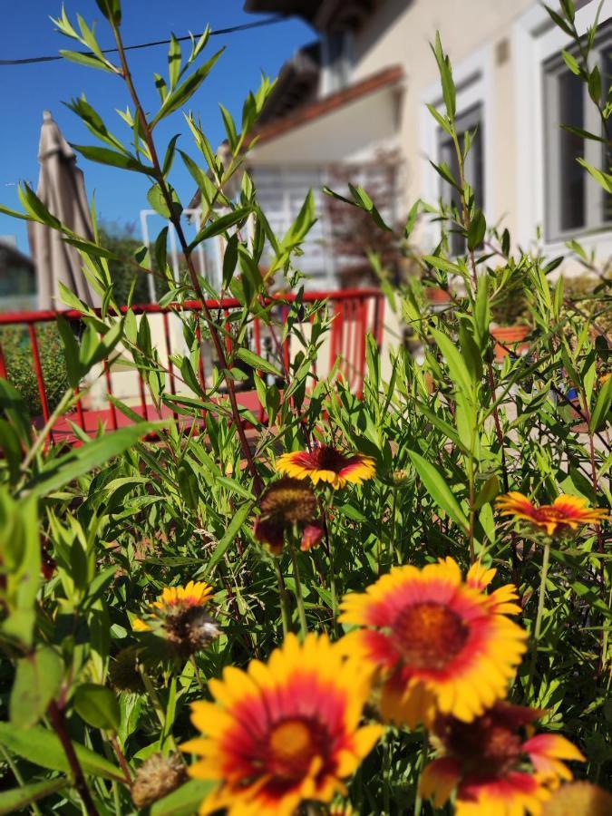 Villechétif Campagn'Arts Bed & Breakfast エクステリア 写真